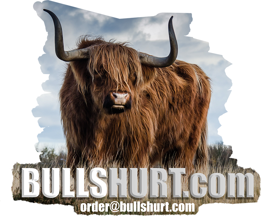 BullsHurt.com - One of a Kind, Thoughtful, Funny, Motivational Shirts, Hats, Coffee Mugs & More